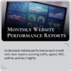Monthly Website Performance Reports