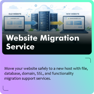 Website Migration Service