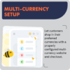 Multi-Currency Setup
