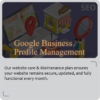 Google Business Profile Management
