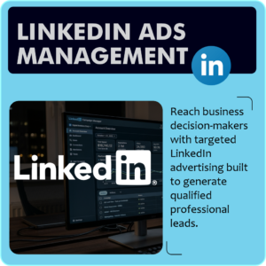 LinkedIn Ads Management