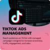 TikTok Ads Management
